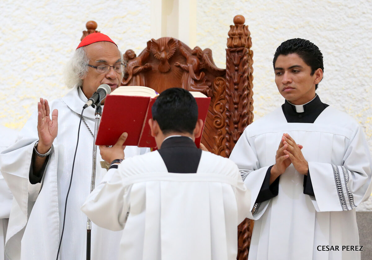 Cardenal1